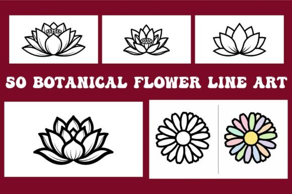 Botanical Flower Line Art: A Calming Creative Practice for Everyday Life