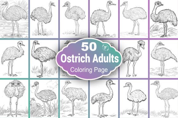 Ostrich Coloring Pages: A Versatile Creative Asset