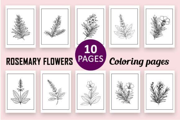 Rosemary Flower Coloring Pages for Adult: A Creative Canvas Beyond Coloring