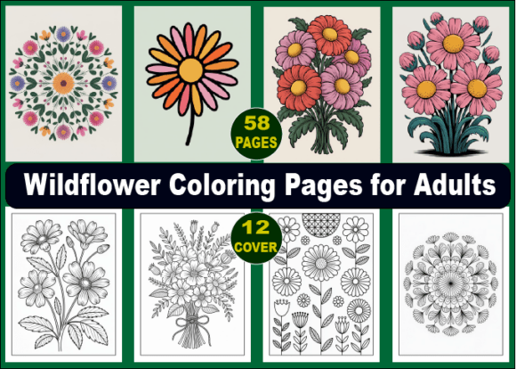 Wildflower Coloring Pages for Adults: A Practical Guide to Choosing the Right Botanical Art Resource